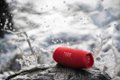 JBL - CHARGE5 Portable Waterproof Speaker with Powerbank