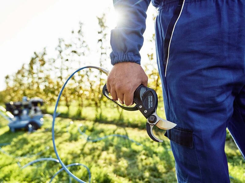 CAMPAGNOLA Victory Pneumatic Pruner Cut 1.24"