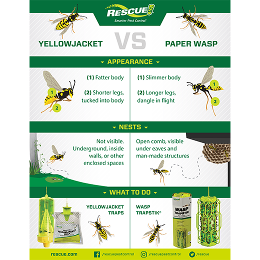 RESCUE! Yellow Jacket Traps, Reusable YJTR (Pack of 4)
