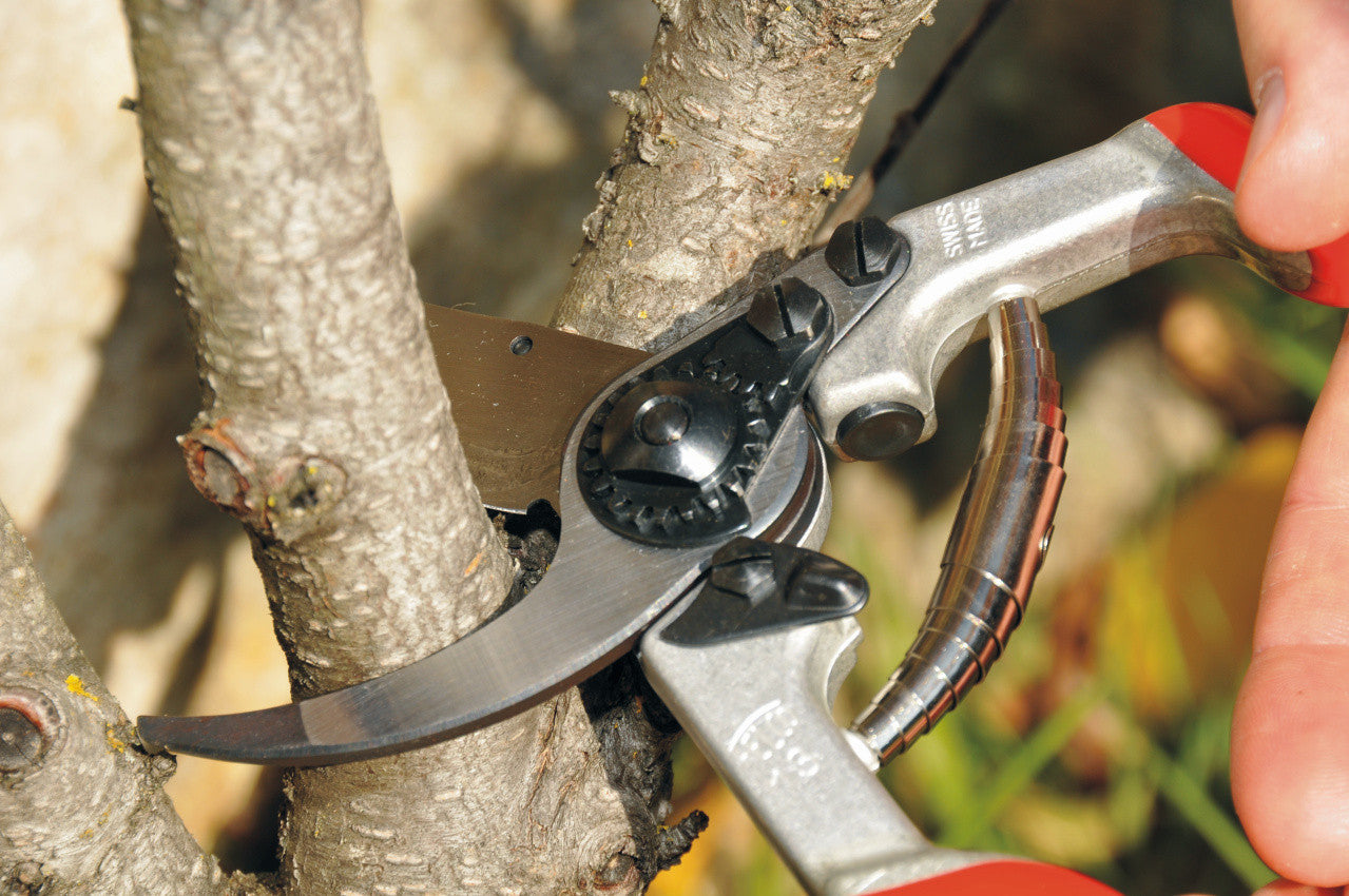 FELCO 13, Bypass Pruning Shear