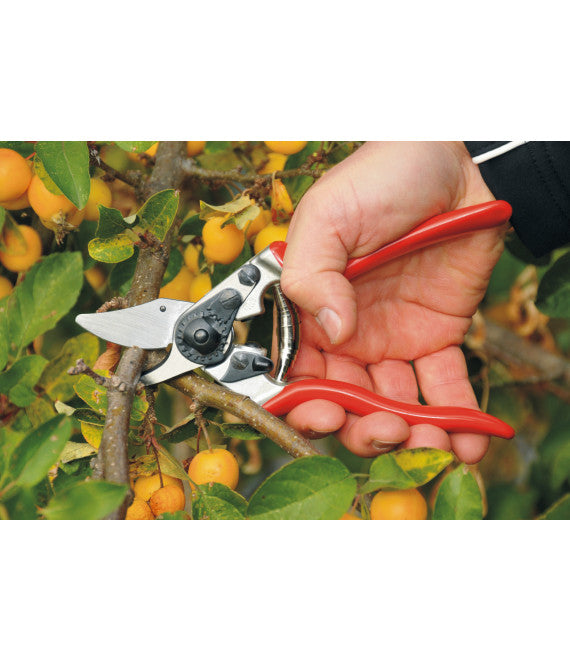 Felco 6, Ergonomic Bypass Pruning Shear (Small)