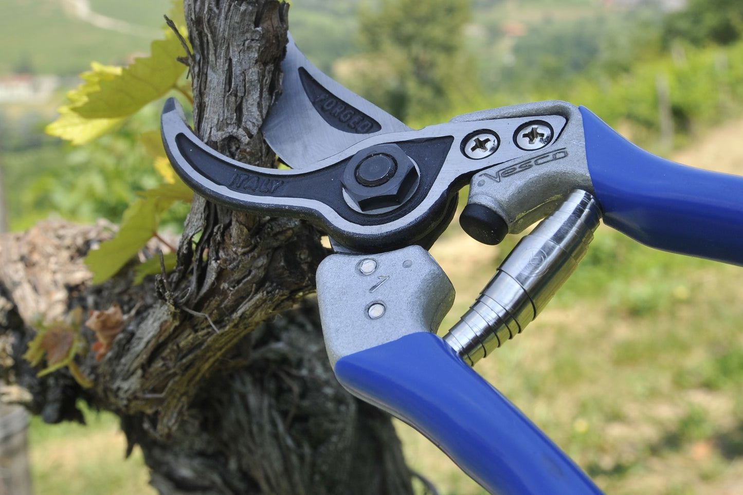 VESCO A6 Curved Anvil Pruning Shears (Size M/L)