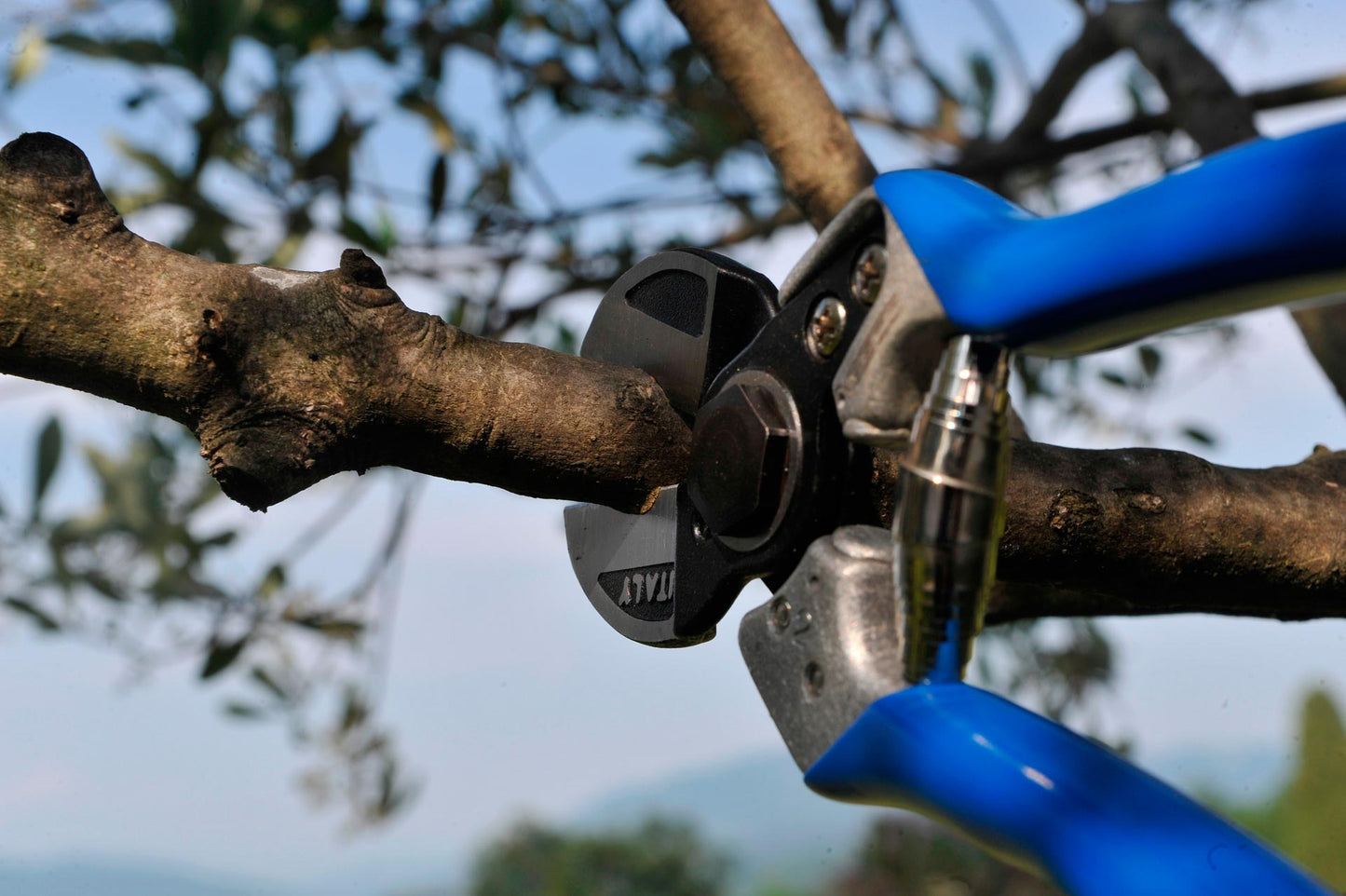 VESCO A2 Double Cut Pruning Shears (Size ML)