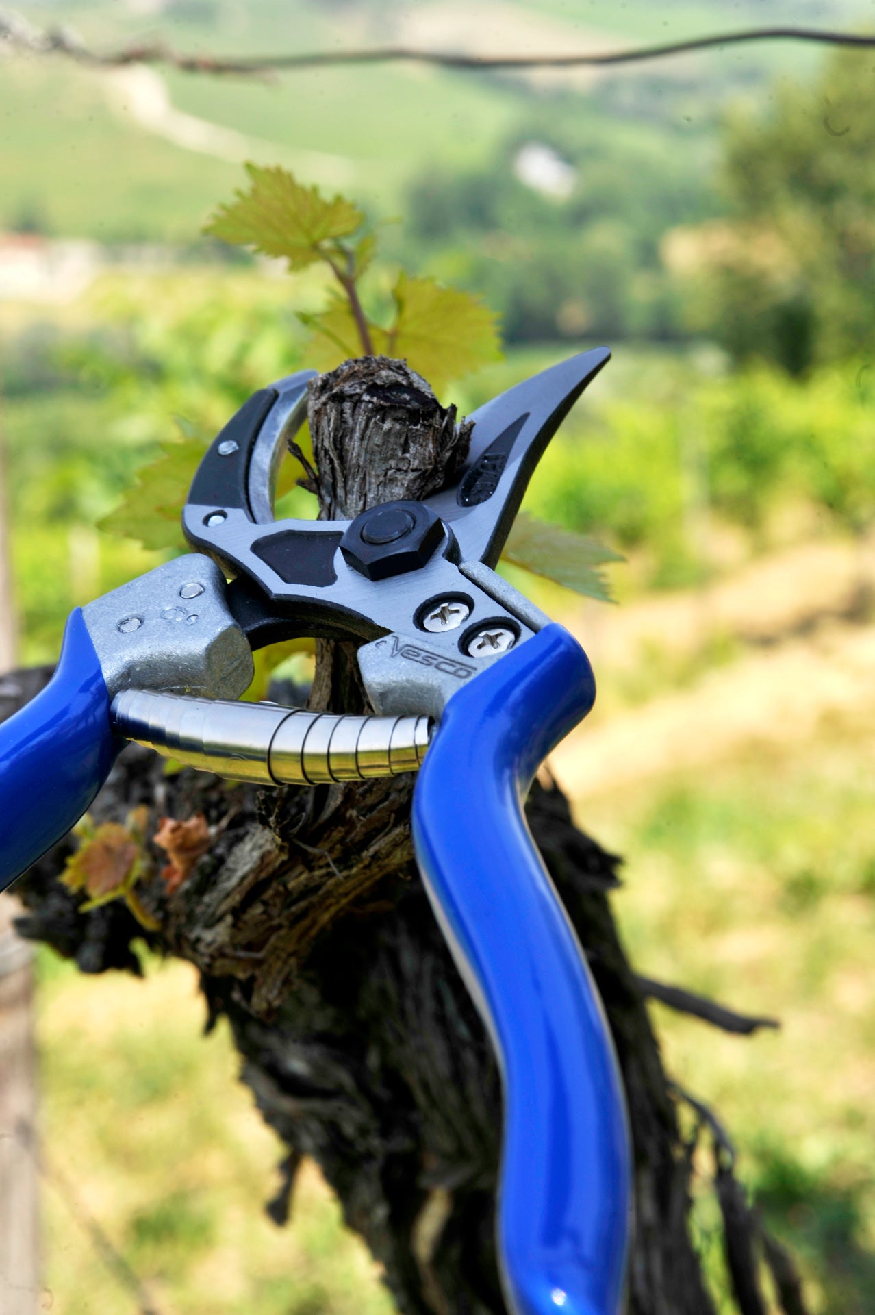 VESCO A6 Curved Anvil Pruning Shears (Size M/L)