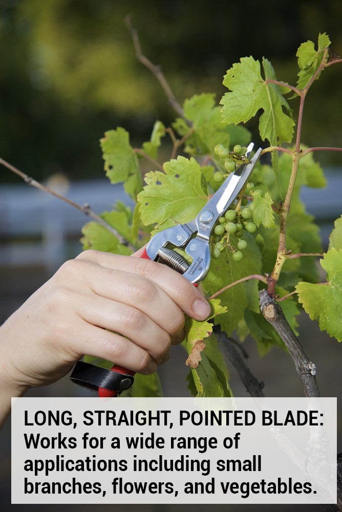 Corona Needle Nose Long Harvest Snips Stainless Steel AG-4930SS