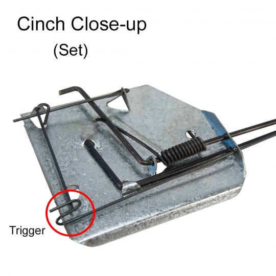 CINCH Mole Trap Case of 12pcs