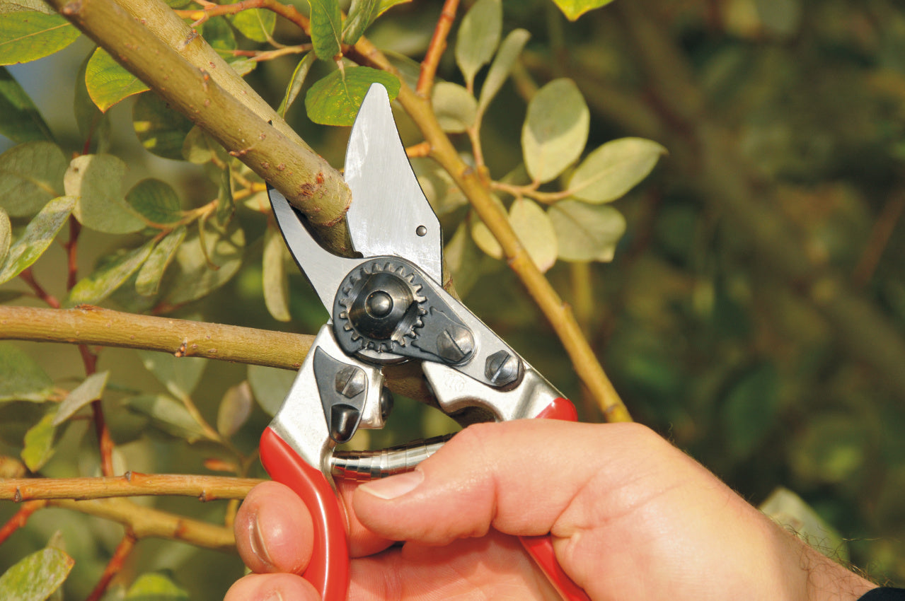 Felco 6, Ergonomic Bypass Pruning Shear (Small)