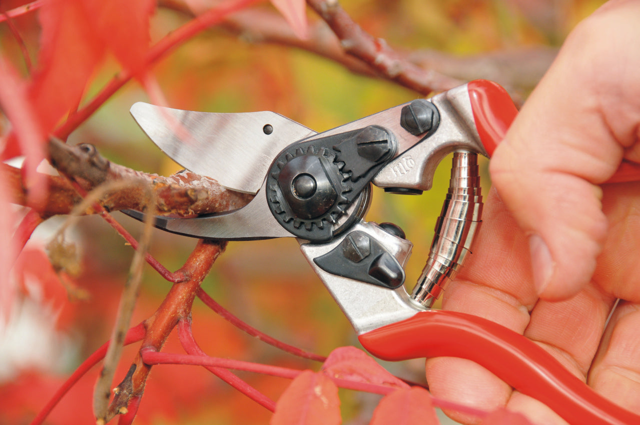 Felco 6, Ergonomic Bypass Pruning Shear (Small)