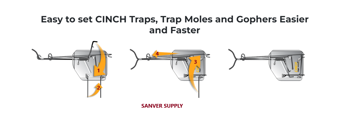 CINCH Mole Trap Case of 12pcs