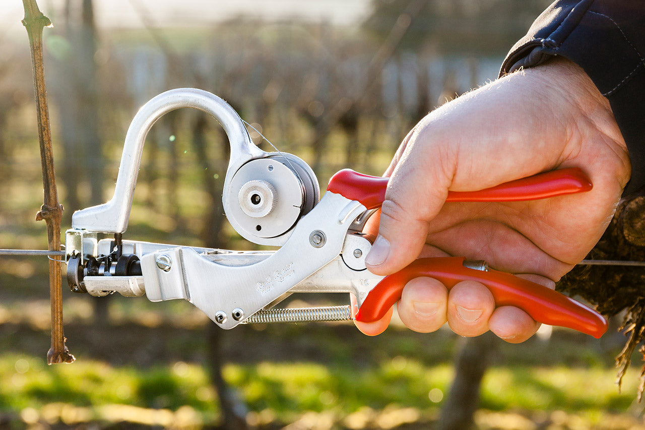 Beli Vine Tying Tool