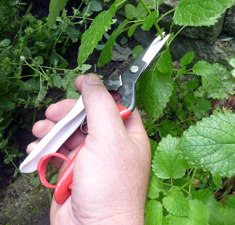 Okatsune Harvest/Thinning Shear Pointed Blades 304