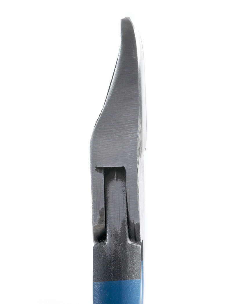 Manzana Nules Citrus Clipper M96-AM