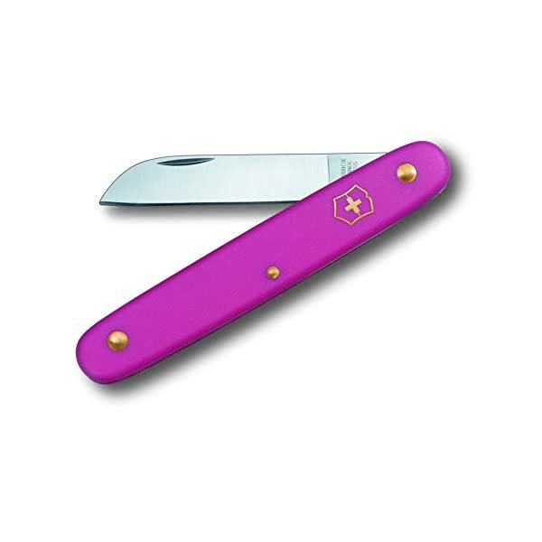 Victorinox Straight Blade Floral Knife - Pink