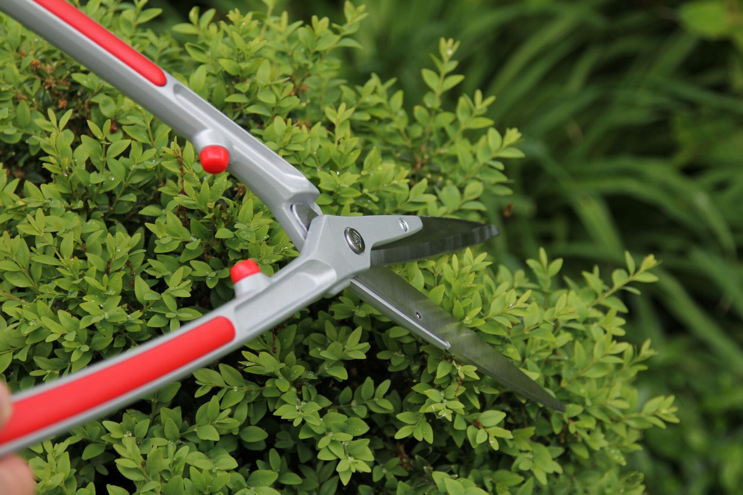 ARS Professional Hedge Shears Aluminum Handle KR-1000