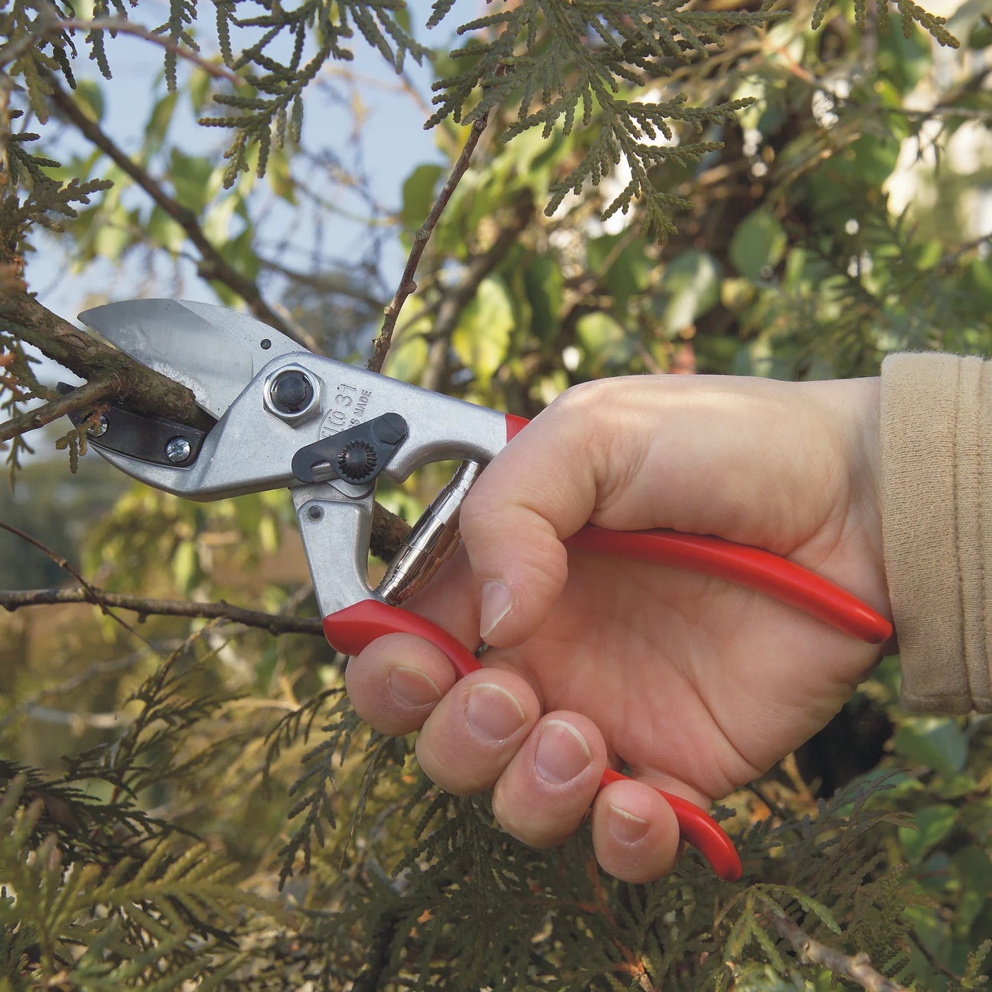 FELCO 31, Anvil Classic Pruning Shear