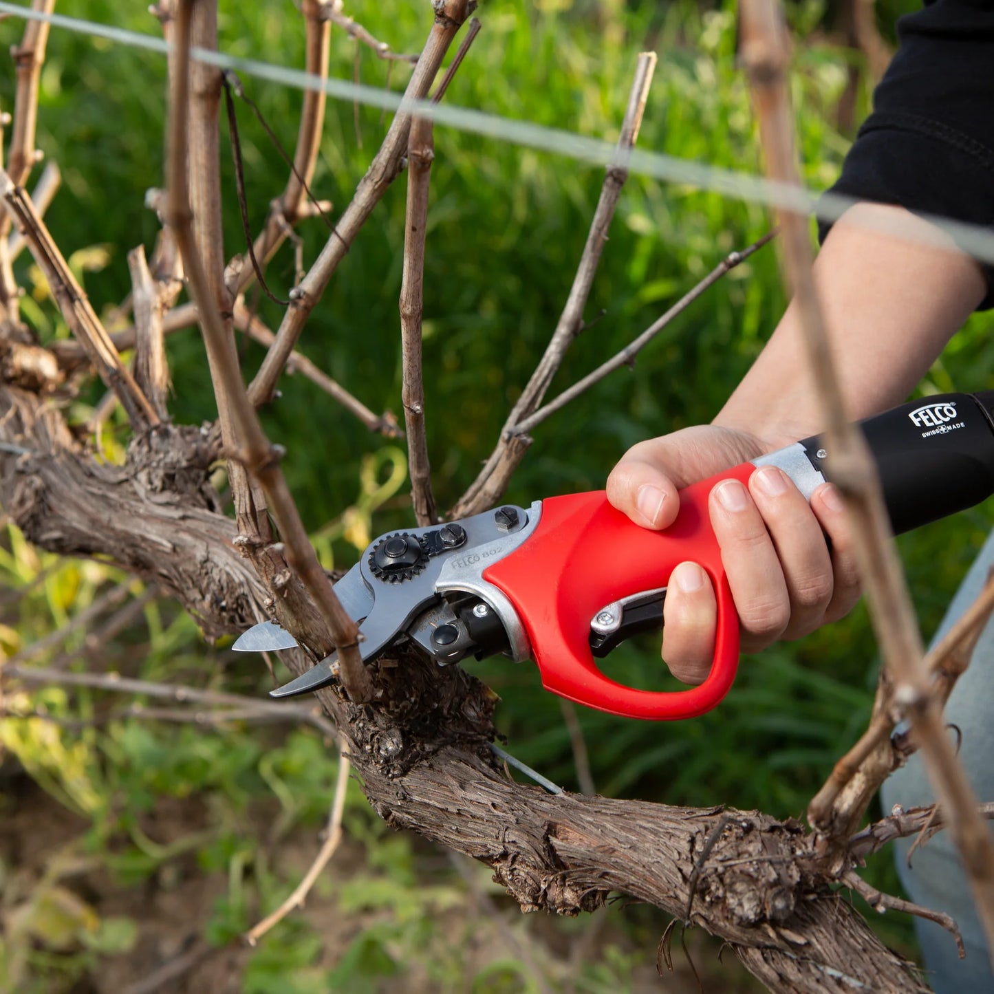 FELCO Electric Pruner 802 Cut 1.18"